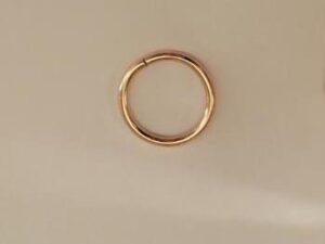 16ga Conch Hoop Earring 14k gold filled .